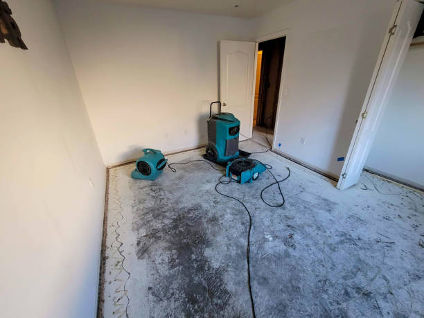 Best Water damage restoration near me  in Westerville, OH