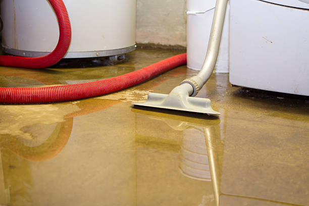 Best 24/7 water damage repair  in Westerville, OH